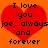 Red heart shape with black text on orange background, displaying 'I love you joe, always and forever' in pixelated font.