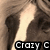 A pixelated image of a person with light brown hair and a white stripe on their face, overlaid with text reading "Crazy C" in a bold, blocky font.