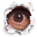 GifCities