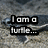 A turtle on a sandy background with text overlays and an emoticon in different frames.