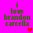 Pixelated green text on bright pink background reads "i love brandon carcella" with red heart symbols appearing and disappearing in different positions across frames.