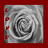Static pixelated image with swirling gray and white pattern, four red square accents on left edge, and solid red border.