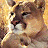 A 48x48 pixel buddy icon featuring a close-up of a cougar's face on the left and green text reading "Original Icons .com" on a dark green background on the right.
