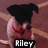 six pixelated images with text labels: a dog in black hat, plus sign, dog portrait; equals sign, heart symbol, and '4ever' text