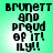 Four identical pixelated text on a green background display "Brunett and proud of it! Ily!!" with black blocky letters