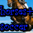Pixelated image of a horse with a rider, blue text reading 'horses + soccer' overlaid on a light blue background.