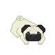 Pixelated pug dog in four positions on gray background, each with black face and white body.