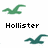 Green and teal pixelated bird-like shapes above and below black text reading 'Hollister' on a white background.