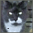 iconhell_plex75_nigel