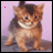 Animated sequence of a small brown kitten with darker stripes on its head and back, standing against a light purple background.
