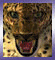 Animated sequence of a leopard's face with shifting expressions and background elements, including red eye glints and mouth movements.