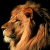 A pixelated lion's head in profile against a black background, with green text reading 'Original Icons .com' on the right side.