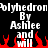 Pixelated text reads "Polyhedron" above "By Ashlee and Will" with red flame-like shapes at the bottom on a black background.