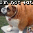 A pixelated bulldog in four with text overlays reading "I'm not fat. I'm..." and "squishy!" on a grass background