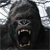 Static 50x50 pixel icon of a gorilla's face with open mouth showing teeth, rendered in grayscale tones on a light background.