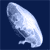 Animals icons for AIM, MSN, MySpace and Yahoo