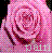 Pixelated pink rose icon with dithered shading and visible text at bottom right, displayed on a gray background in a contact sheet layout.