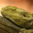 A pixelated image of a golden-brown baked good resting on a dark surface against an orange gradient background.