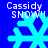 Blue background with four cyan snowflakes and white text reading 'Cassidy SNOW!!' in pixelated font, arranged in a