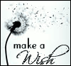 A black-and-white dandelion icon with scattered seeds and the text 'make a Wish' in mixed typography.