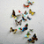 Animated sequence of colorful butterflies flying against a light gray background with blue text "KY KY" on a heart-shaped sand design.
