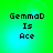 Green and cyan gradient background with pixelated text reading "GemmaD Is Ace" in four identical quadrants.