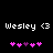 Pixelated text 'Wesley <3' appears above a of five pink and purple heart icons on black background, with one heart changing color between frames