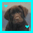 Doll Buddie Icons
