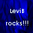 Blue background with white text reading "LeviB rocks!!!" in pixelated font, displayed across multiple