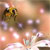 Animals icons for AIM, MSN, MySpace and Yahoo