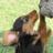 Pixelated image of a person in dark clothing holding a large hammer-like object against a light green background.
