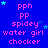 Blue background with pink text and cyan stars; repeated 'pph PP spidey water girl chocker' in pattern, some stars animate