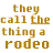 A 4-frame animated contact sheet showing pixelated text variations of 'they call the thing a rodeo' with subtle letter changes across frames, displayed on a white background.
