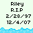 Pixelated digital image with text 'Riley R.I.P' and dates '2/28/97' and '12/4/07', blue wave-like border, light background.