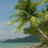 Pixelated beach scene with palm trees, blue sky, and water; the number '06' appears in blue text on the right side.