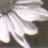 Animated white gloves with light reflections on a dark background, showing subtle motion in the fabric folds.