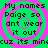 Green background with pink concentric circles and black pixelated text reading 'My names Paige so dnt wear it out cuz its mincuz its min' in four identical quadrants.