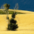 A pixelated static image shows a dark green bushy plant with a tall thin stem against a yellow sandy background under a blue sky.