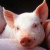 iconator.com - buddy icons - aim icons - away messages - AIM instant messenger