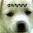 Pixelated close-up of a light-colored animal face with dark eyes and nose, featuring black pixel-art text above the head.