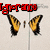 Animated sequence of a yellow and black butterfly icon with red text overlays changing across frames.