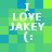 Pixelated text 'I LOVE JAKEY (:' on a green and blue checkered background with visible animation changes across frames.