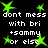 Green star-shaped pixels alternate with white text on a black background, forming a repeating pattern of 'dont mess with bri +sammy or else' phrases.