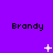 Purple background with repeated 'Brandy' text and changing white pixel symbols across three