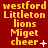 Red background with yellow text reading 'westford Littleton lions Miget cheer' repeated in a , with small white symbols changing across frames