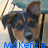 Pixelated image of a dog with brown and black fur wearing blue text at the bottom, set against a blurred background.