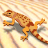Animated contact sheet showing two frames of a pixelated lizard icon with orange-brown spotted body, yellow limbs, and striped tail on light background.