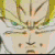 Four identical cartoon faces with yellow hair and neutral expressions arranged in a on white background