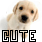 repeated puppy images with 'CUTE' text and small purple hearts, each frame showing different colored outlines on the text