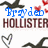 Animated icon features blue text, brown 'HOLLISTER' lettering, and repeated dark bird silhouettes with red hearts on white background.
